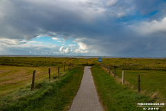 Naturstrand-Hilgenriedersiel-Hagermarsch-Ostfriesland-2.9.2019-13