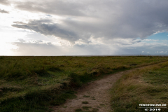Naturstrand-Hilgenriedersiel-Hagermarsch-Ostfriesland-2.9.2019-14