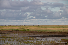Naturstrand-Hilgenriedersiel-Hagermarsch-Ostfriesland-2.9.2019-18