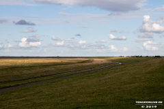 Naturstrand-Hilgenriedersiel-Hagermarsch-Ostfriesland-2.9.2019-2