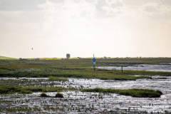 Naturstrand-Hilgenriedersiel-Hagermarsch-Ostfriesland-2.9.2019-20