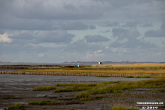 Naturstrand-Hilgenriedersiel-Hagermarsch-Ostfriesland-2.9.2019-22