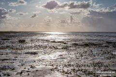 Naturstrand-Hilgenriedersiel-Hagermarsch-Ostfriesland-2.9.2019-27