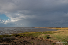 Naturstrand-Hilgenriedersiel-Hagermarsch-Ostfriesland-2.9.2019-28