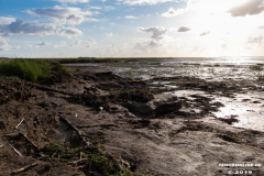 Naturstrand-Hilgenriedersiel-Hagermarsch-Ostfriesland-2.9.2019-29