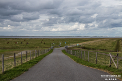 Naturstrand-Hilgenriedersiel-Hagermarsch-Ostfriesland-2.9.2019-3