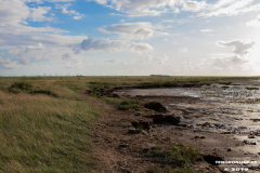 Naturstrand-Hilgenriedersiel-Hagermarsch-Ostfriesland-2.9.2019-30