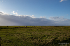 Naturstrand-Hilgenriedersiel-Hagermarsch-Ostfriesland-2.9.2019-33