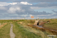 Naturstrand-Hilgenriedersiel-Hagermarsch-Ostfriesland-2.9.2019-34