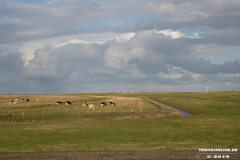 Naturstrand-Hilgenriedersiel-Hagermarsch-Ostfriesland-2.9.2019-37
