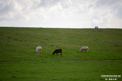 Naturstrand-Hilgenriedersiel-Hagermarsch-Ostfriesland-2.9.2019-7