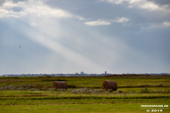 Naturstrand-Hilgenriedersiel-Hagermarsch-Ostfriesland-2.9.2019-9