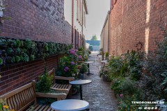 Cafe-Remmers-Lohne-Blumen-Neuer-Weg-Stadt-Norden-11.8.2022-7