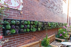 Cafe-Remmers-Lohne-Blumen-Neuer-Weg-Stadt-Norden-11.8.2022-8