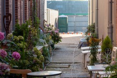Cafe-Remmers-Lohne-Blumen-Neuer-Weg-Stadt-Norden-11.8.2022-9