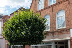 Foto-Paulsen-Neuer-Weg-Stadt-Norden-7.8.2022-14