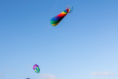 Norddeich-19.1.2020-8