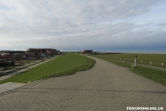 Deich Norddeich Blick Richtung Haus des Gastes Norden-Norddeich 2.3.2019-1