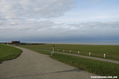 Deich Norddeich Blick Richtung Nordsee Norden-Norddeich 2.3.2019-