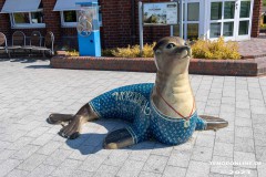 Seehund-Kurverwaltung-Doerper-Weg-Norddeich-Stadt-Norden-Ostfriesland-10.6.2023-33