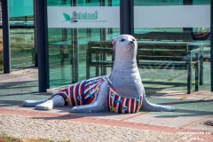 Seehund-Lesehalle-Badestraße-Norddeich-Stadt-Norden-Corona-Krise-24.3.2020-99