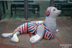 Seehund-Lesehalle-Norddeich-9.11.2019-42