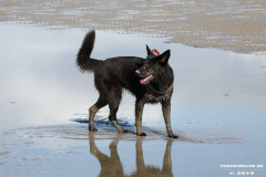 Hunde-Hundestrand-Norden-Norddeich-3.10.2019-12