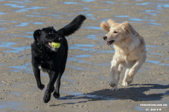 Hunde-Hundestrand-Norden-Norddeich-3.10.2019-4