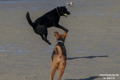 Hunde-Hundestrand-Norden-Norddeich-3.10.2019-7