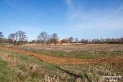 Grünland-Norddeicher-Straße-Stadt-Norden-Corona-Krise-24.3.2020-22