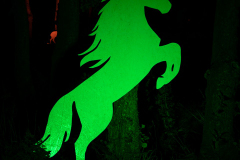 NordLichter-am-Meer-Norddeich-5.10.2019-10