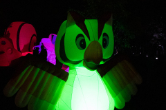 NordLichter-am-Meer-Norddeich-5.10.2019-14