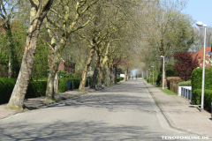 Nordseestraße-Norden-19.4.2019-16