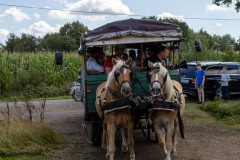 Treckertreffen-Oldtimerrteffen-Neuschoo-20.8.2023-63
