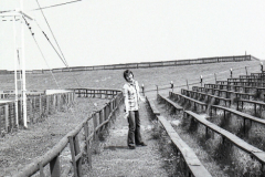 Open-Air-Festival-Motodrom-Halbemond-1981-13