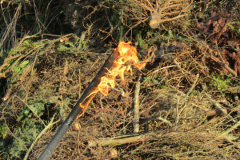 Osterfeuer-Hundestrand-Norddeich-20.4.2019-12