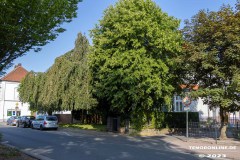 Osterstrasse-Stadt-Norden-25.6.2023-21