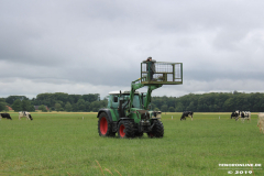 Ostfriesen-auf-der-Bank-16.7.2019-9