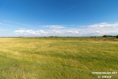 Ottoturm-Leuchturm-Pilsum-Krummhoern-15.7.2023-25
