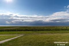 Ottoturm-Leuchturm-Pilsum-Krummhoern-15.7.2023-29