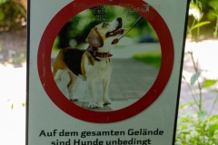 Park-Krankenhaus-Ubbo-Emmius-Klinik-Stadt-Norden-6.6.2023-24