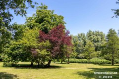 Park-Krankenhaus-Ubbo-Emmius-Klinik-Stadt-Norden-6.6.2023-8