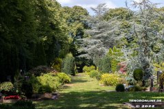 Parkfriedhof-Am-Zingel-Stadt-Norden-6.8.2022-14