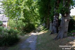 Parkfriedhof-Am-Zingel-Stadt-Norden-6.8.2022-17