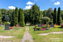 Parkfriedhof-Am-Zingel-Stadt-Norden-6.8.2022-21