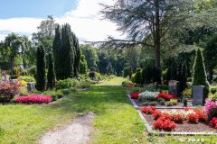 Parkfriedhof-Am-Zingel-Stadt-Norden-6.8.2022-24