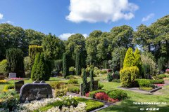 Parkfriedhof-Am-Zingel-Stadt-Norden-6.8.2022-25