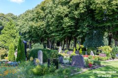 Parkfriedhof-Am-Zingel-Stadt-Norden-6.8.2022-26