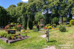 Parkfriedhof-Am-Zingel-Stadt-Norden-6.8.2022-27