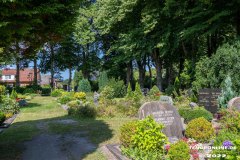 Parkfriedhof-Am-Zingel-Stadt-Norden-6.8.2022-29